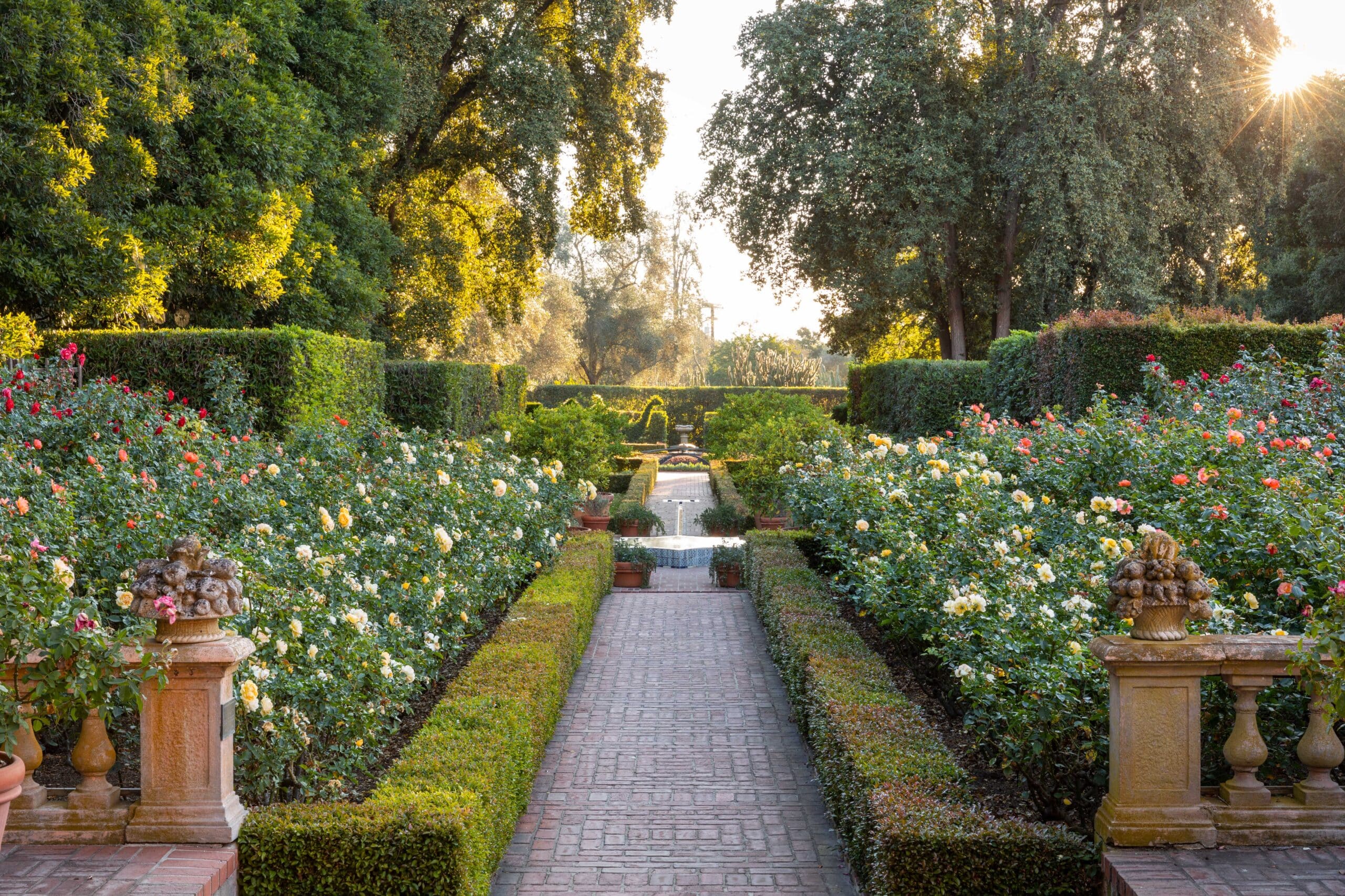 Rose Garden