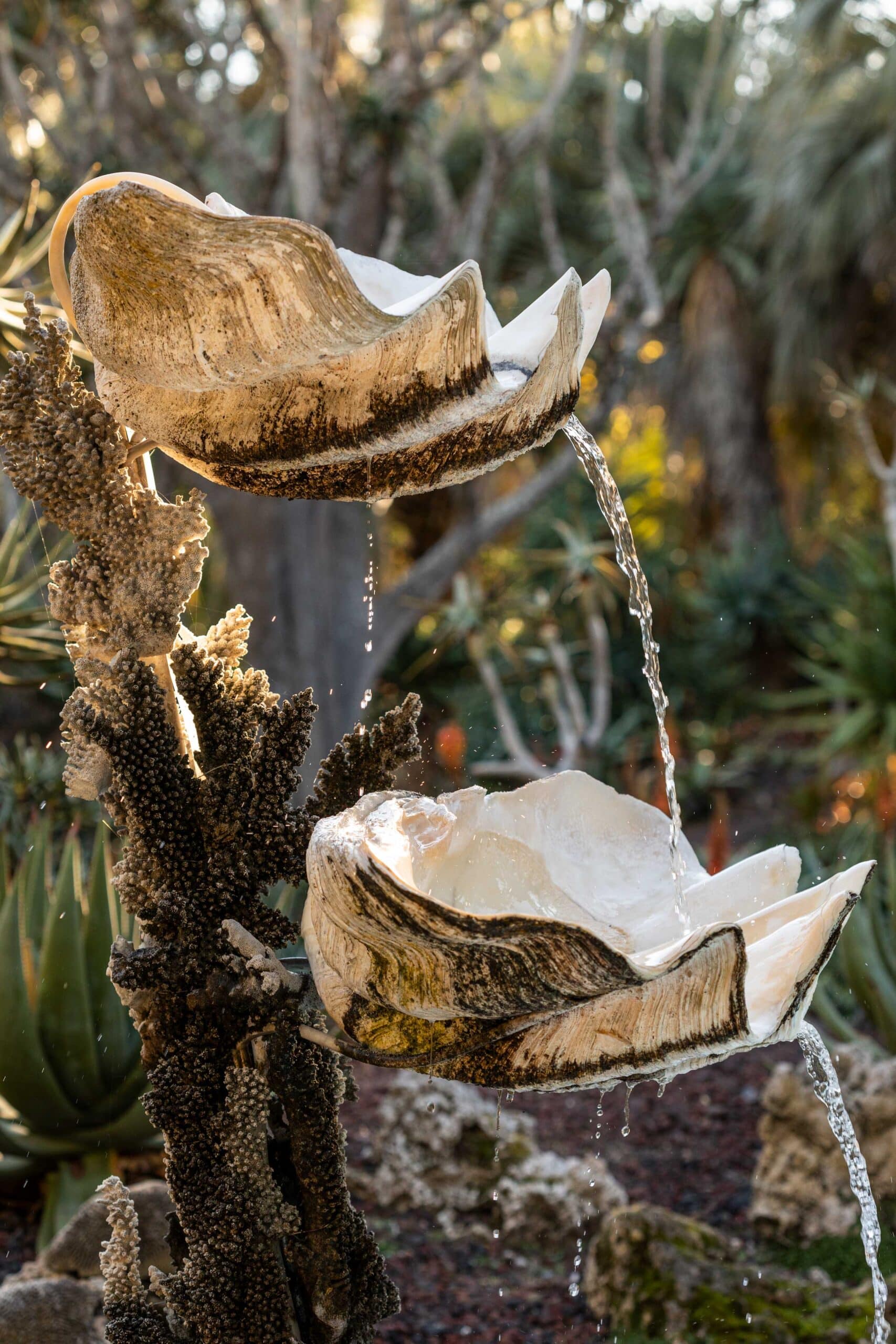 Clam Fountain