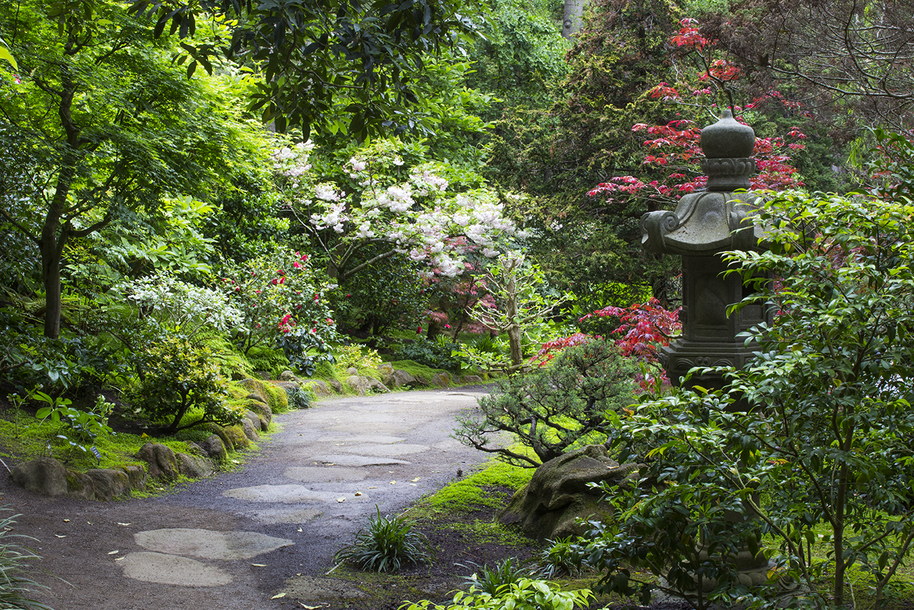 Japanese Garden Pathway