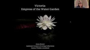 Victoria: Empress of the Water Garden