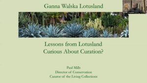 Curious About Curation?