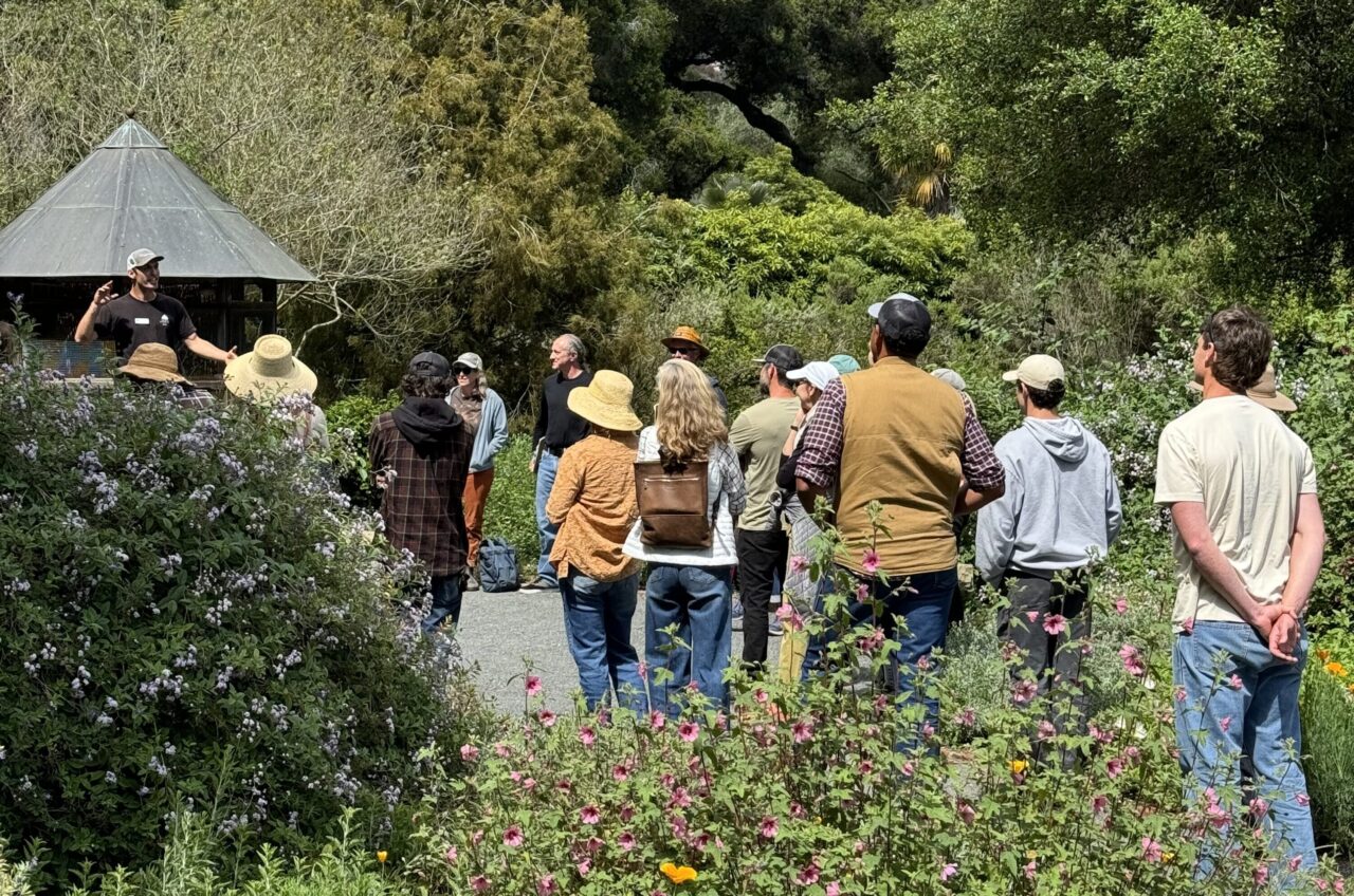 Group tour in an insectary garden .