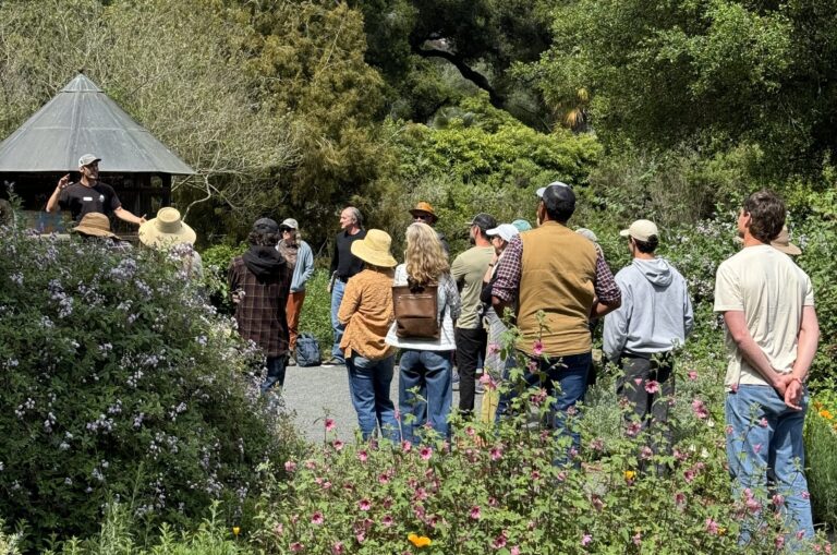 Group tour in an insectary garden .